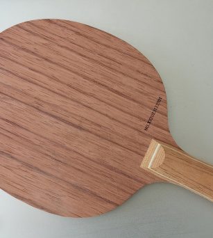 玄象玫瑰5